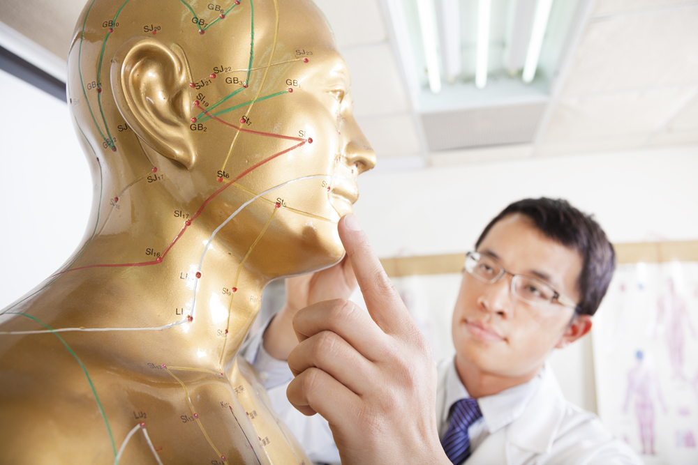 chinese medicine doctor teaching Acupoint on human model